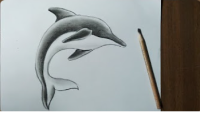 Kids Drawing Tutorials